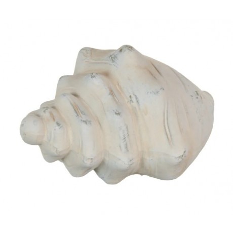 Búzio em Terracota Cor Natural